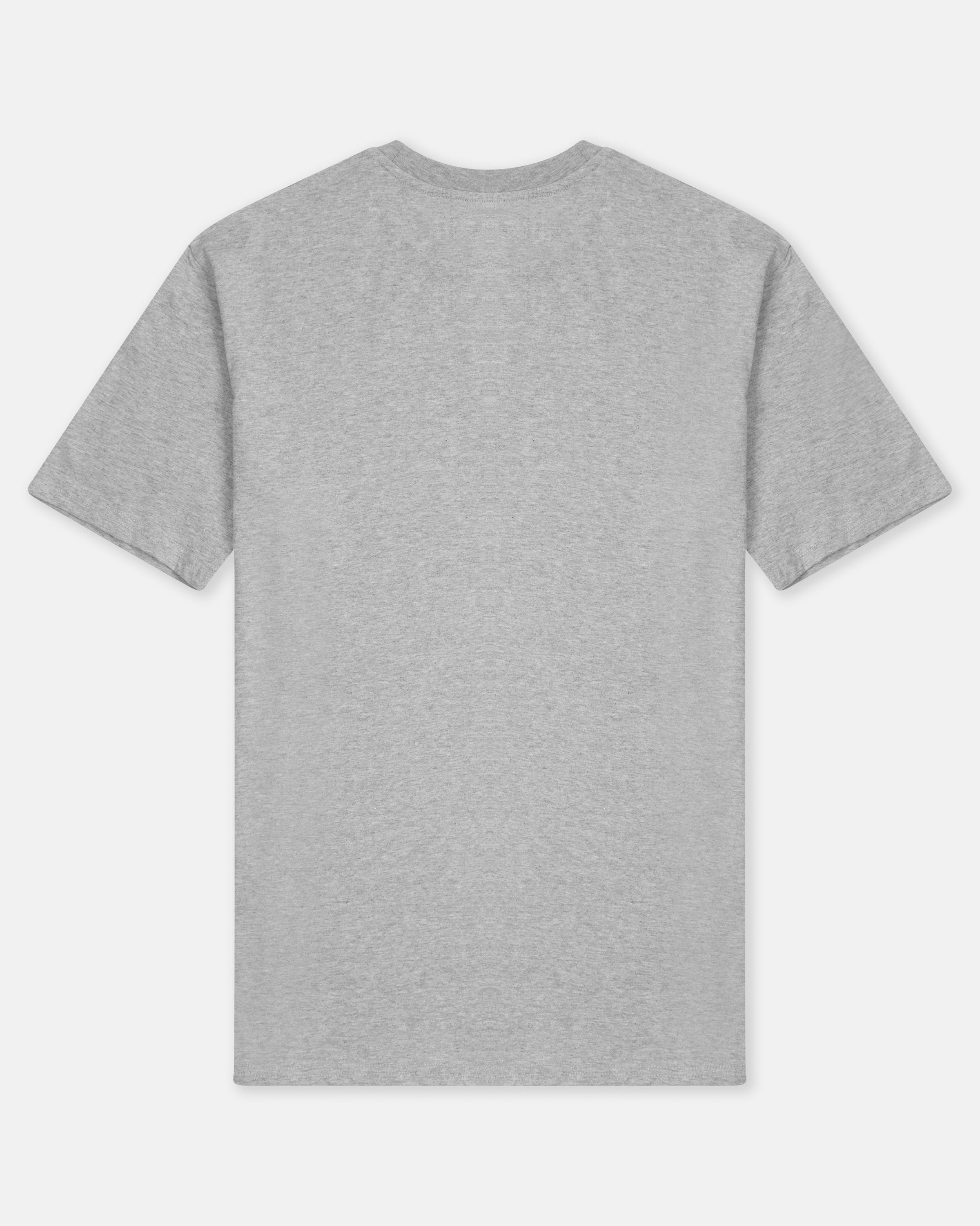 gray t-shirt on a white background