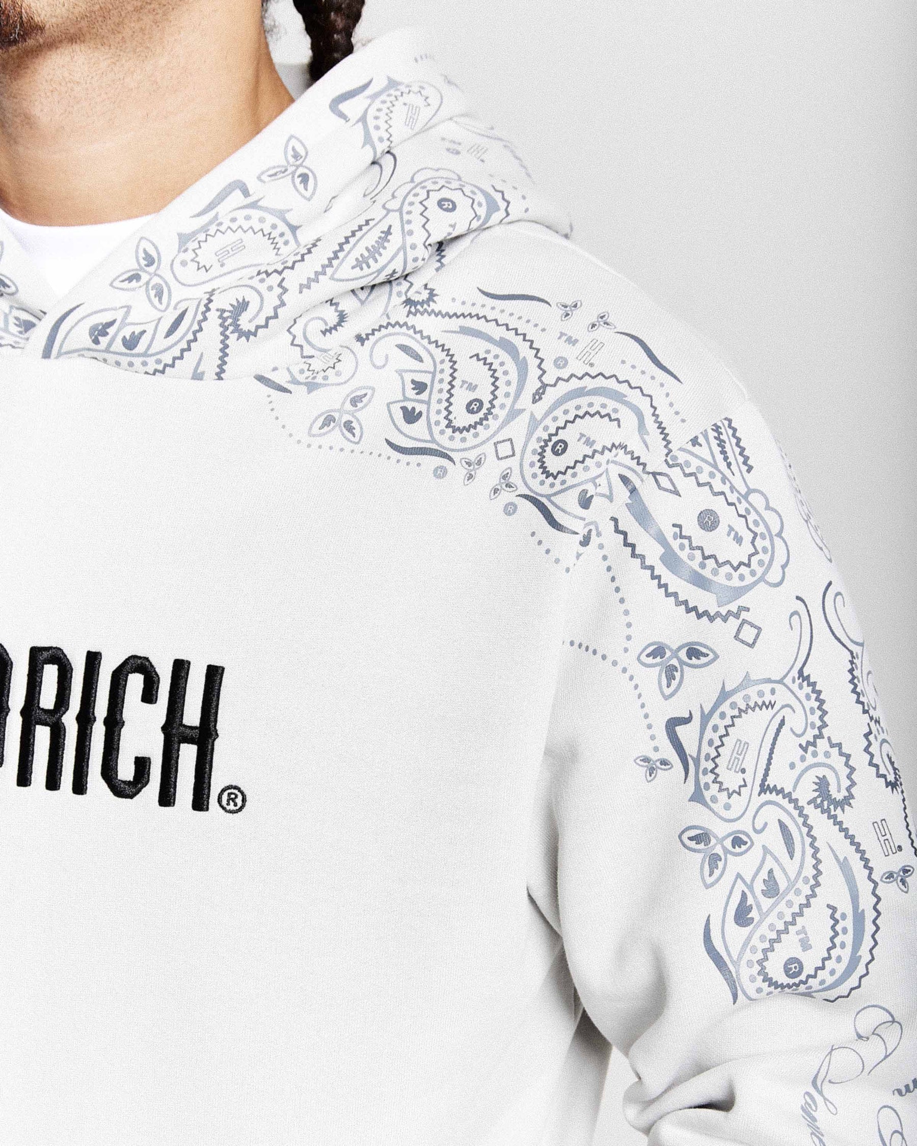 Felpa con cappuccio Motif - Grigio chiaro/Nero